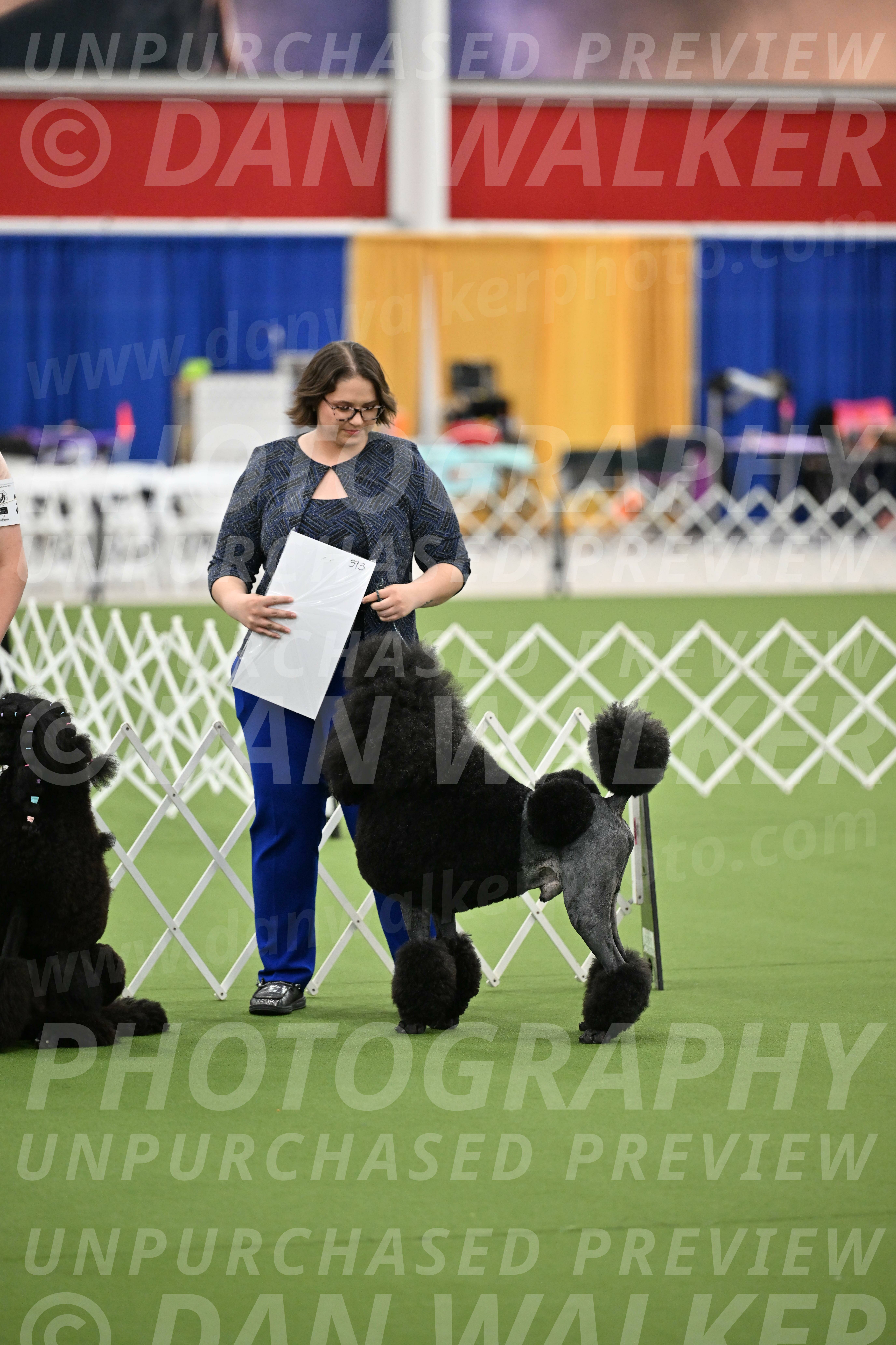 Parade-of-Titles_2702