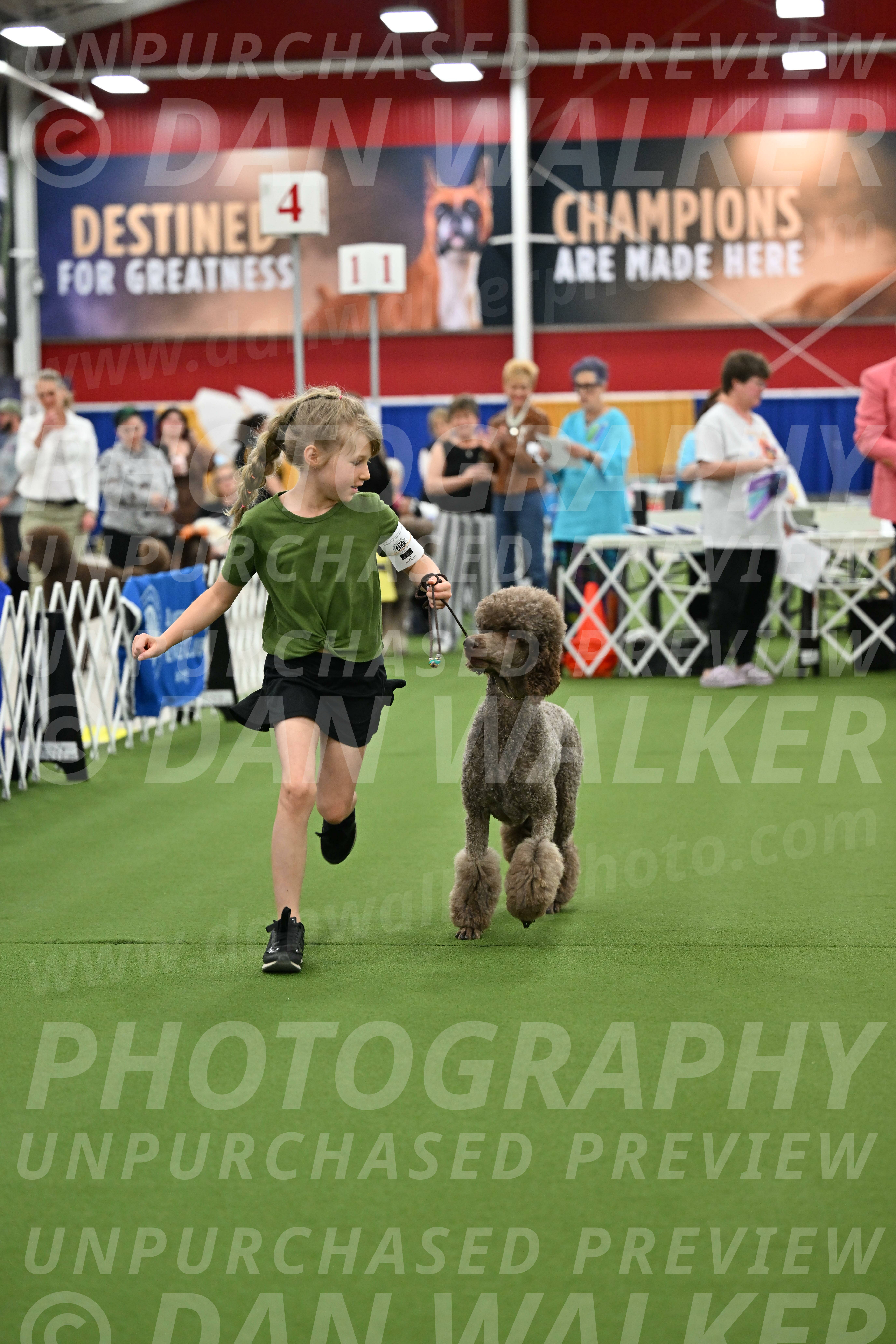 Parade-of-Titles_2707