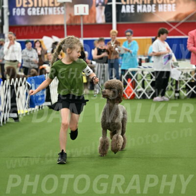 Parade-of-Titles_2707