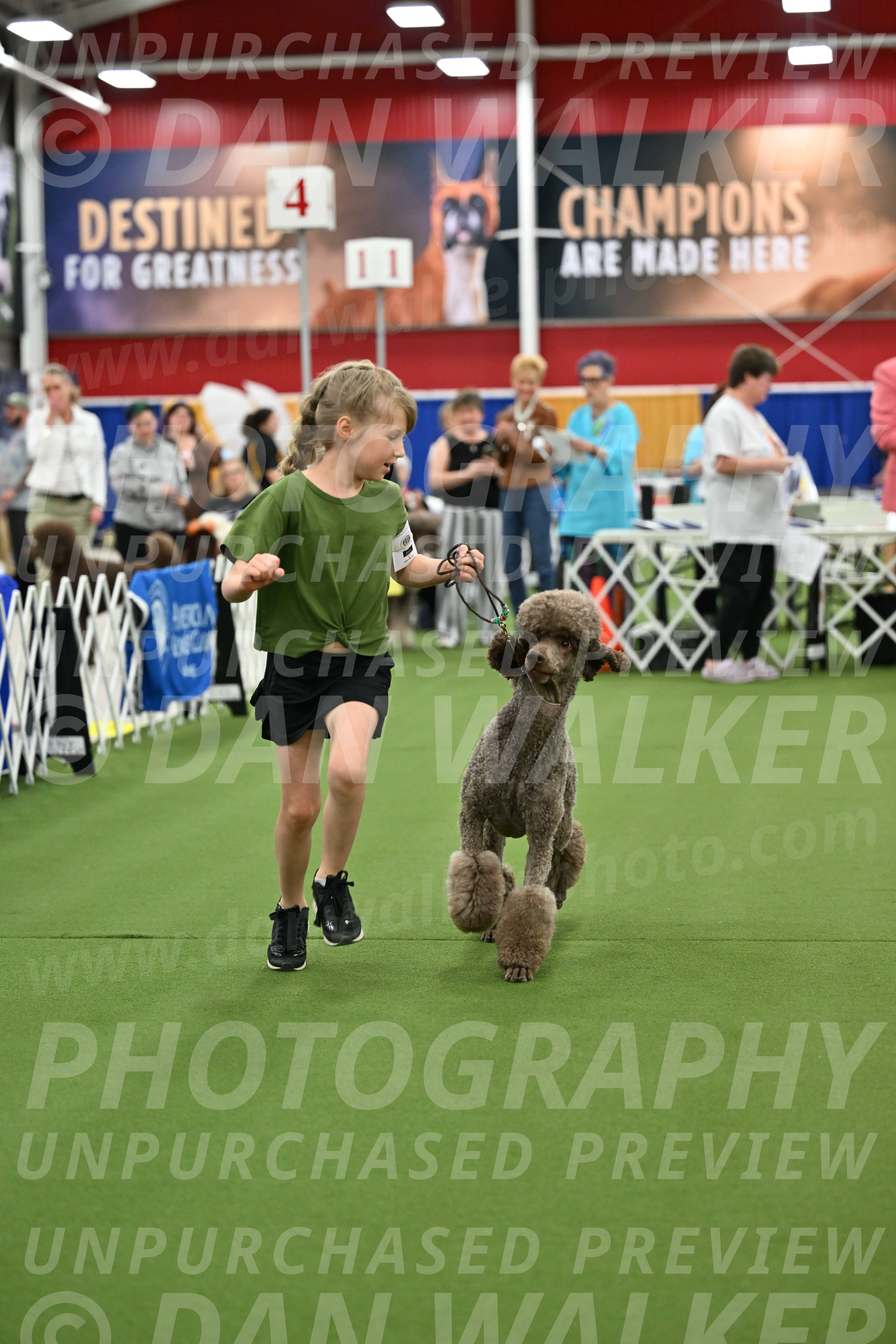 Parade-of-Titles_2708