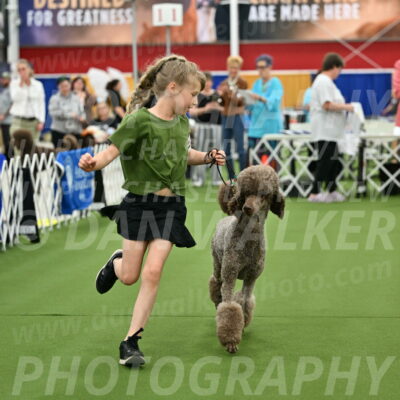 Parade-of-Titles_2709