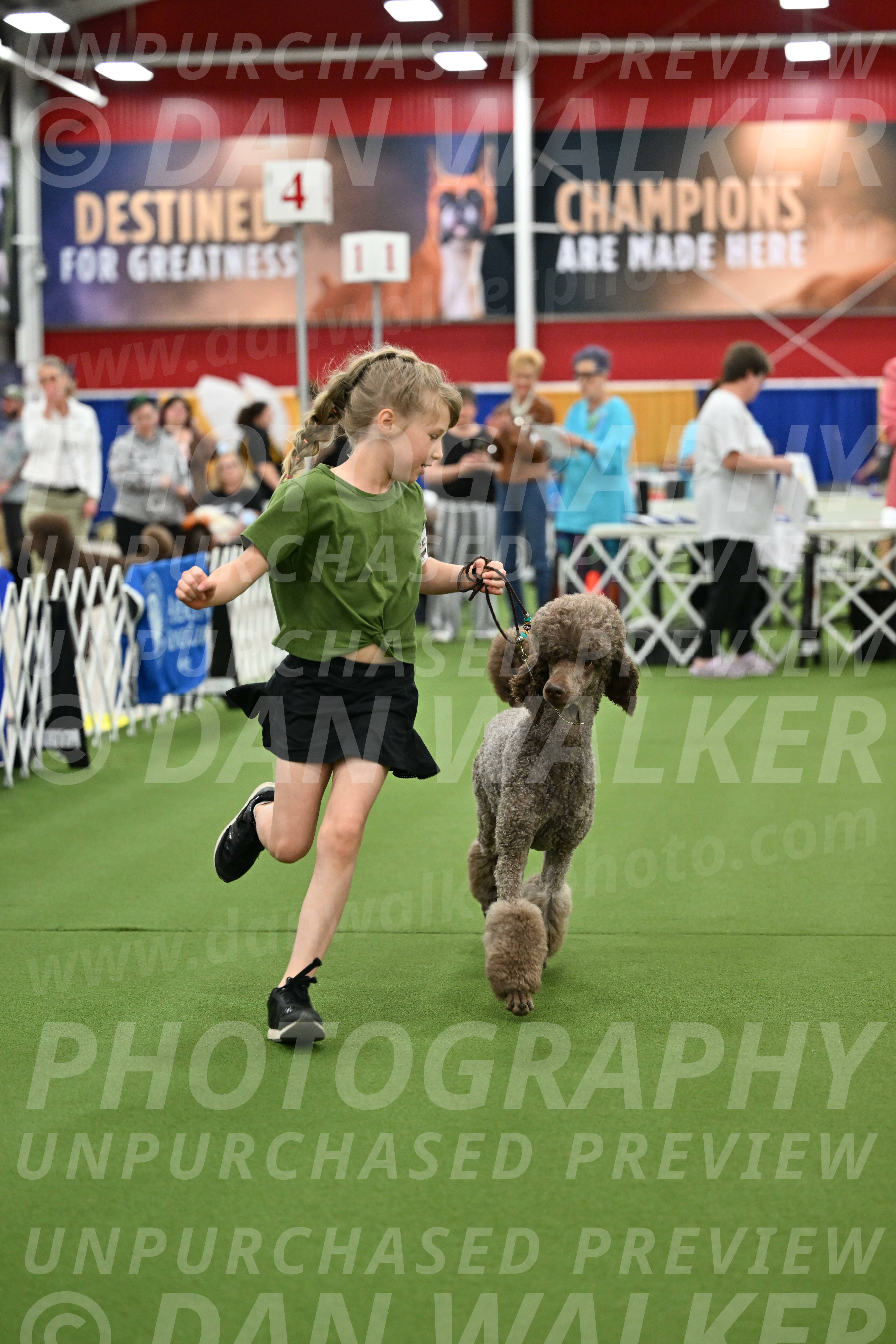 Parade-of-Titles_2709