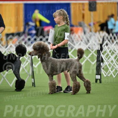 Parade-of-Titles_2711