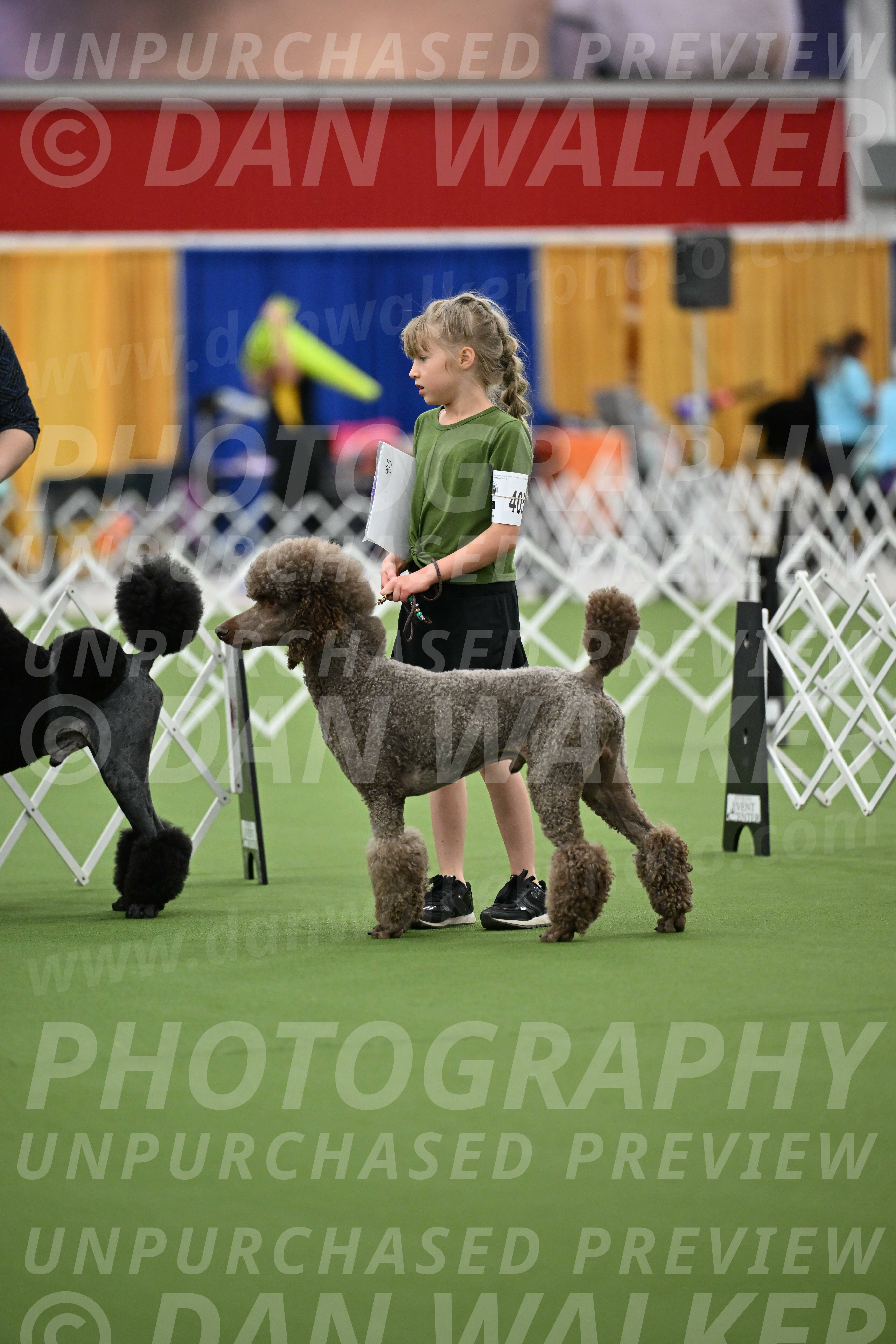 Parade-of-Titles_2711