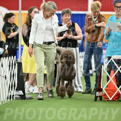 Parade-of-Titles_2712