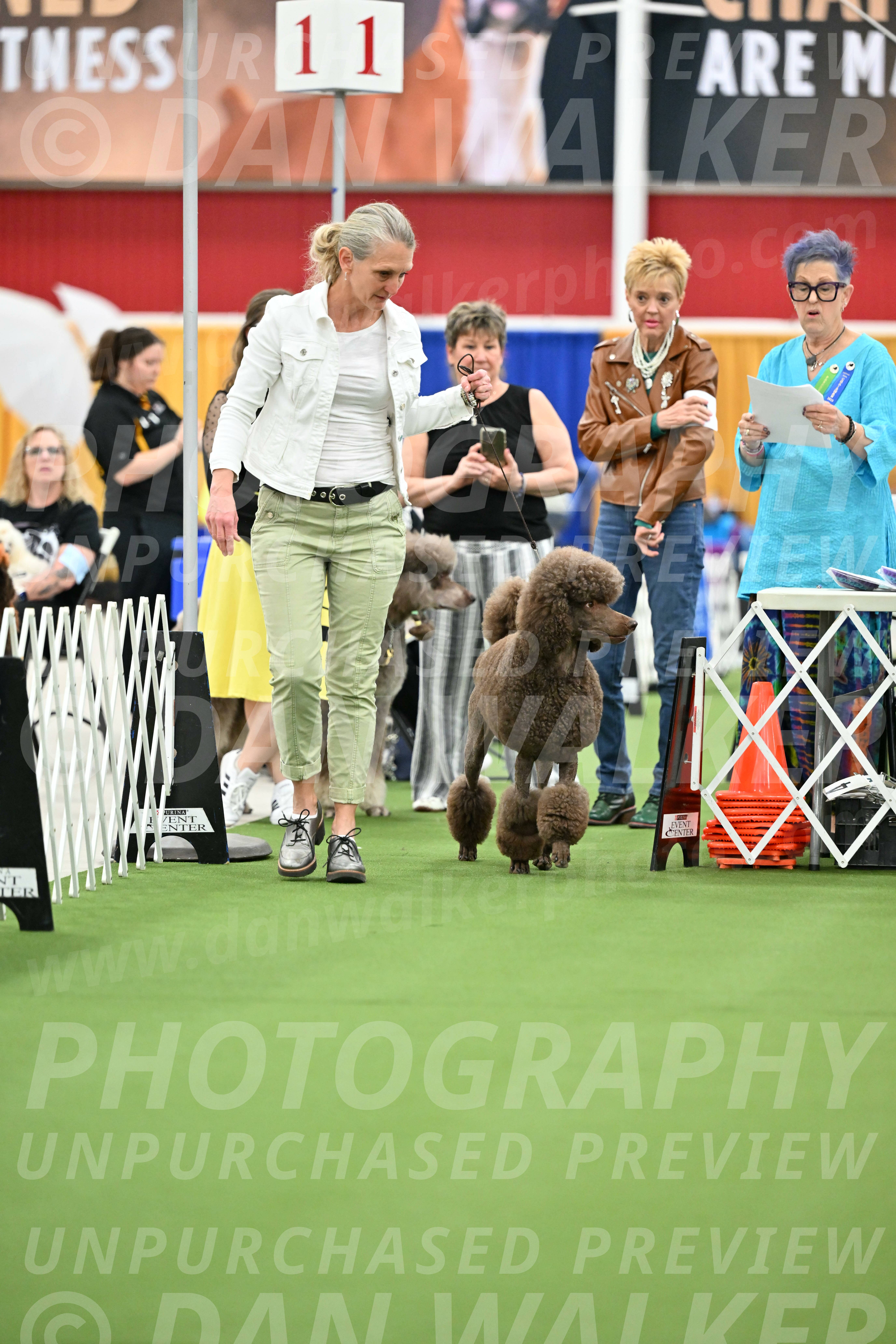 Parade-of-Titles_2714