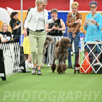 Parade-of-Titles_2714