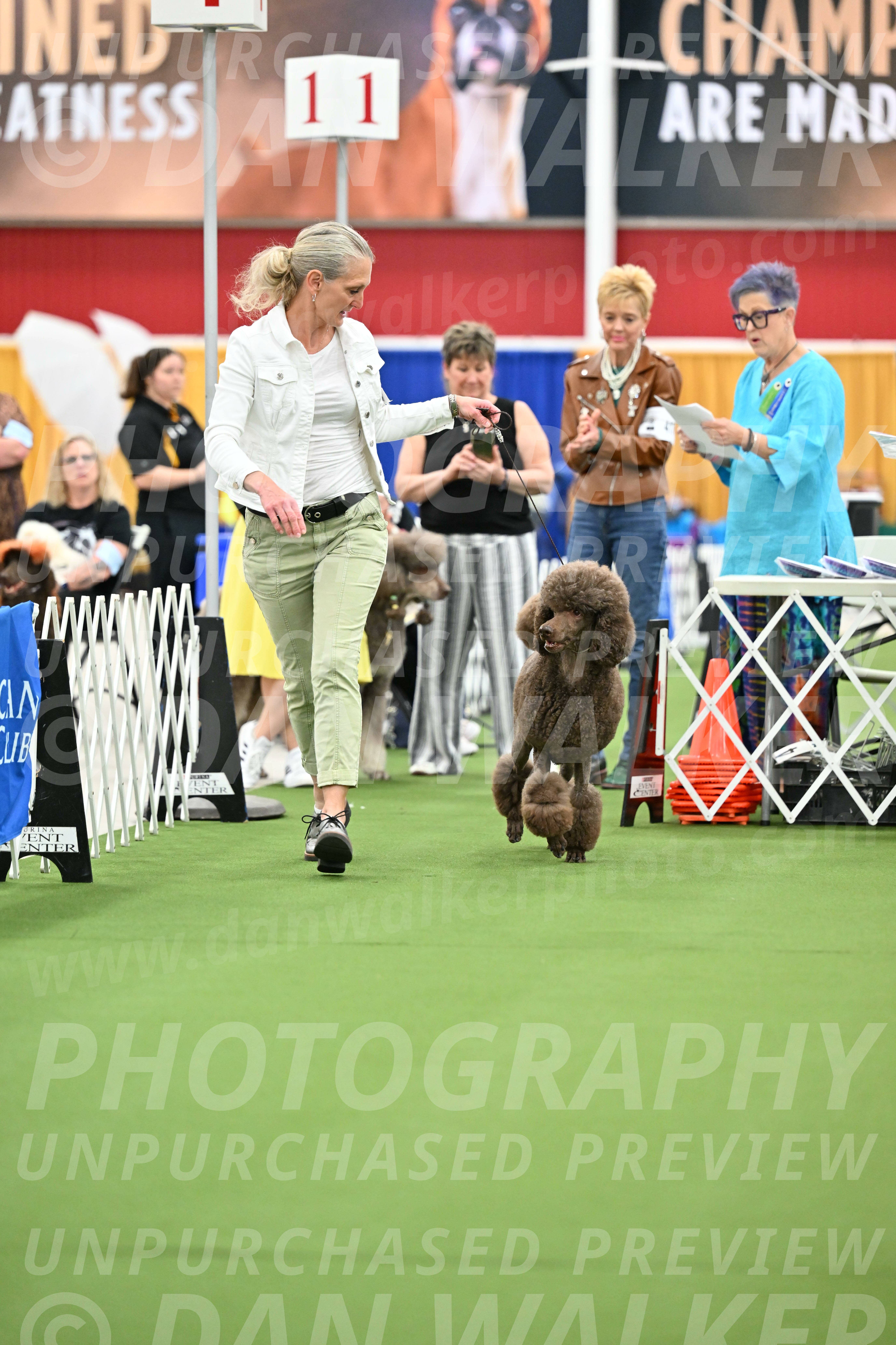 Parade-of-Titles_2715