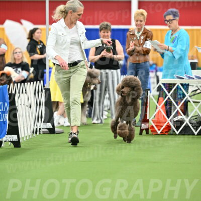 Parade-of-Titles_2715