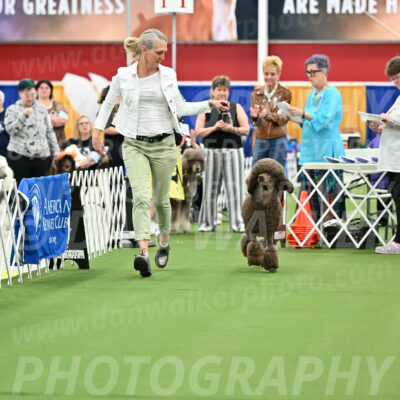 Parade-of-Titles_2717