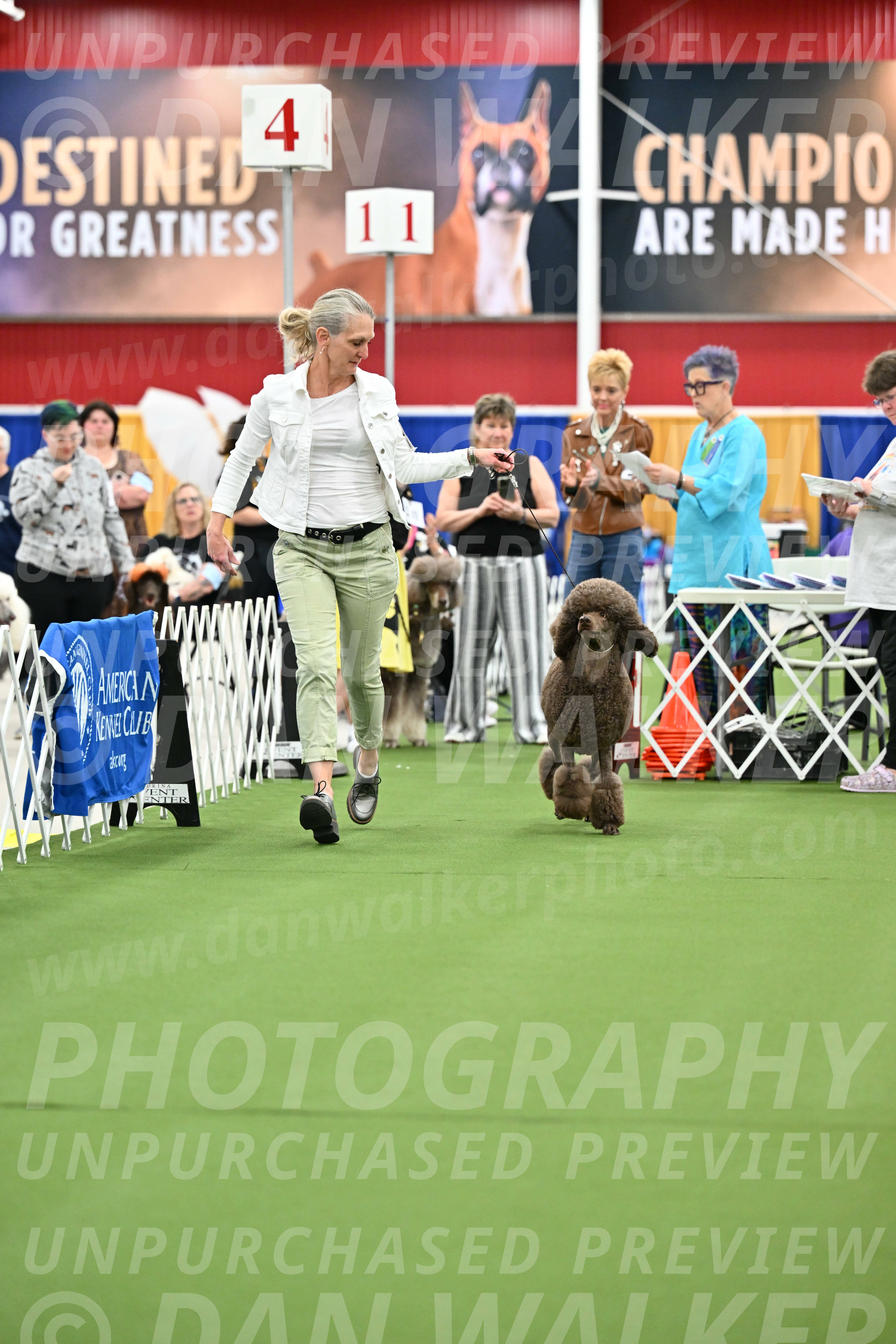Parade-of-Titles_2717
