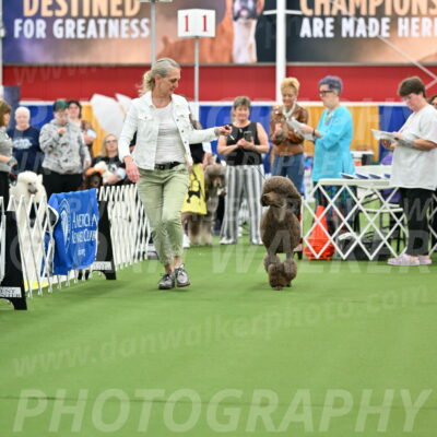 Parade-of-Titles_2718