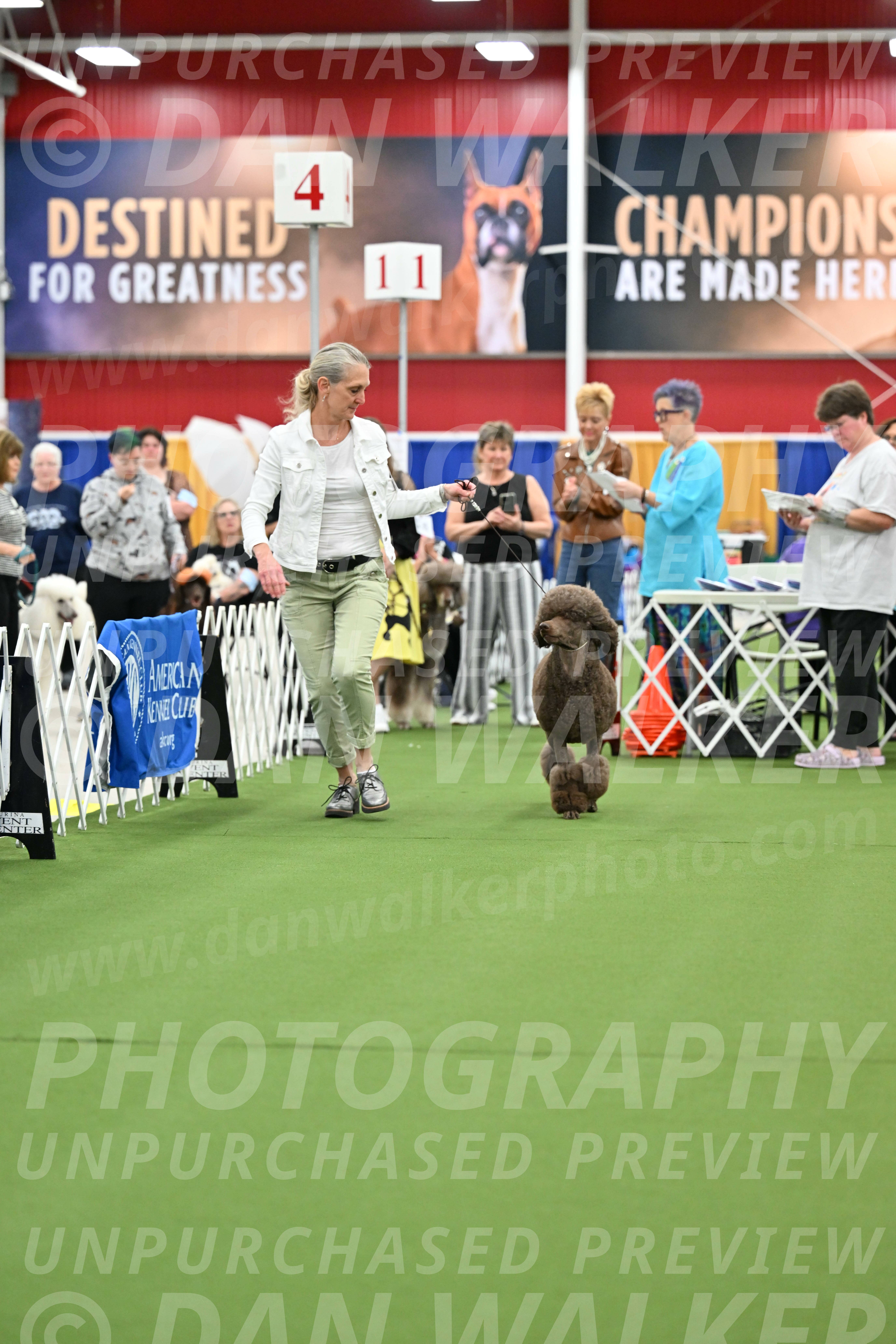 Parade-of-Titles_2718
