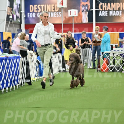 Parade-of-Titles_2720