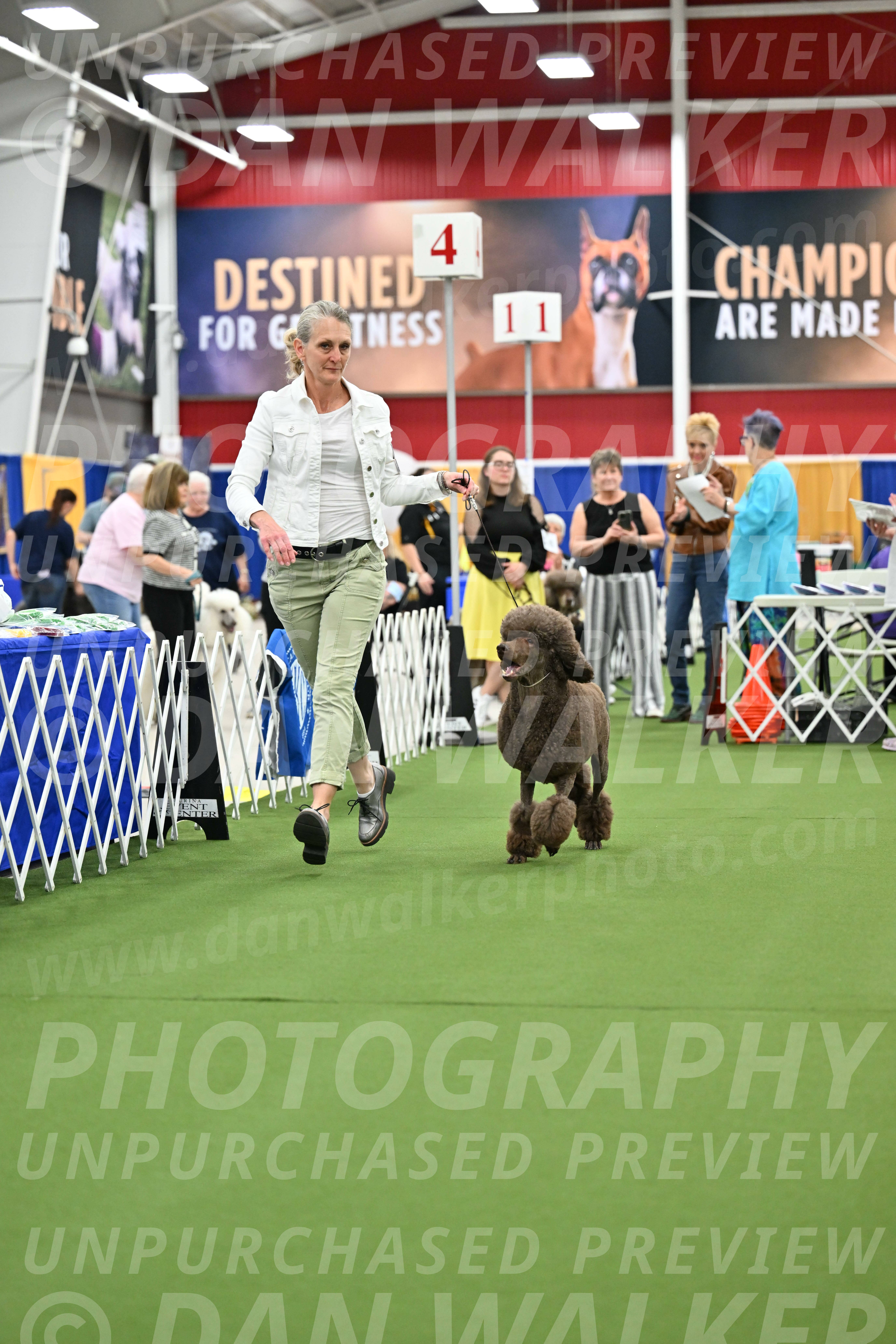 Parade-of-Titles_2720