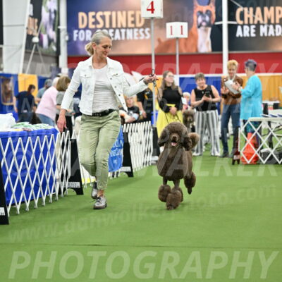 Parade-of-Titles_2721