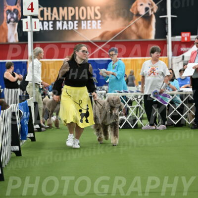 Parade-of-Titles_2730