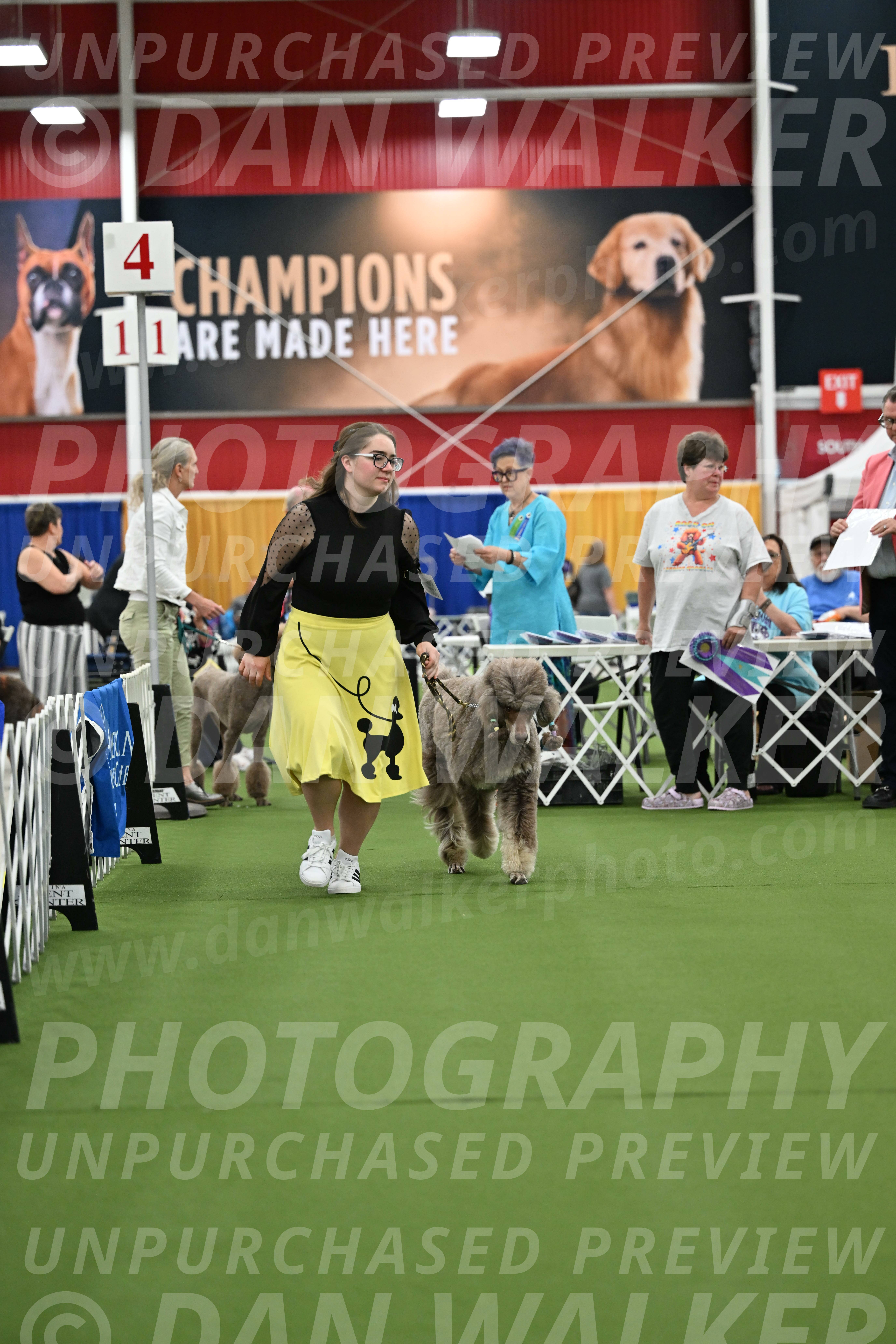 Parade-of-Titles_2730