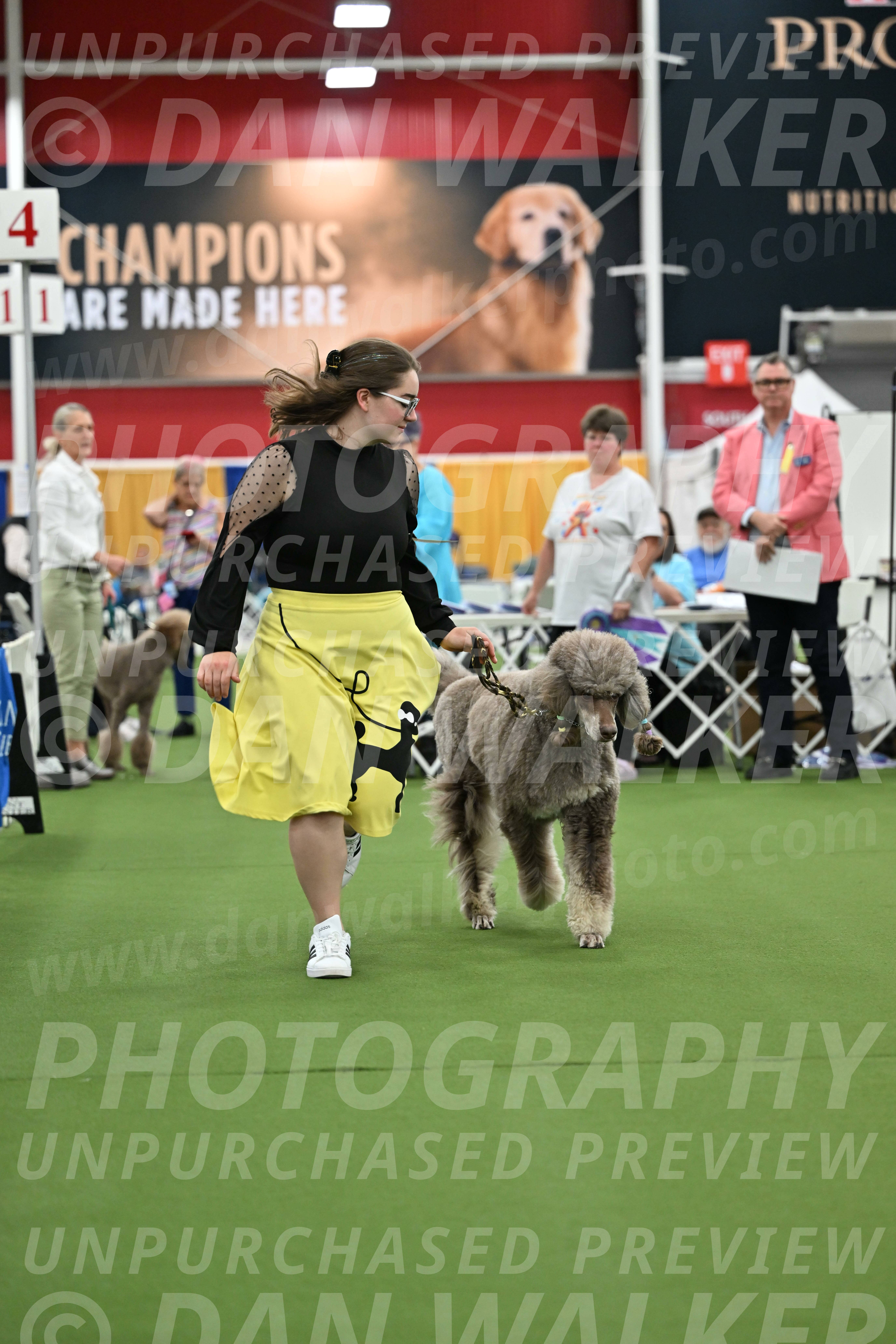 Parade-of-Titles_2732