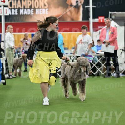 Parade-of-Titles_2732