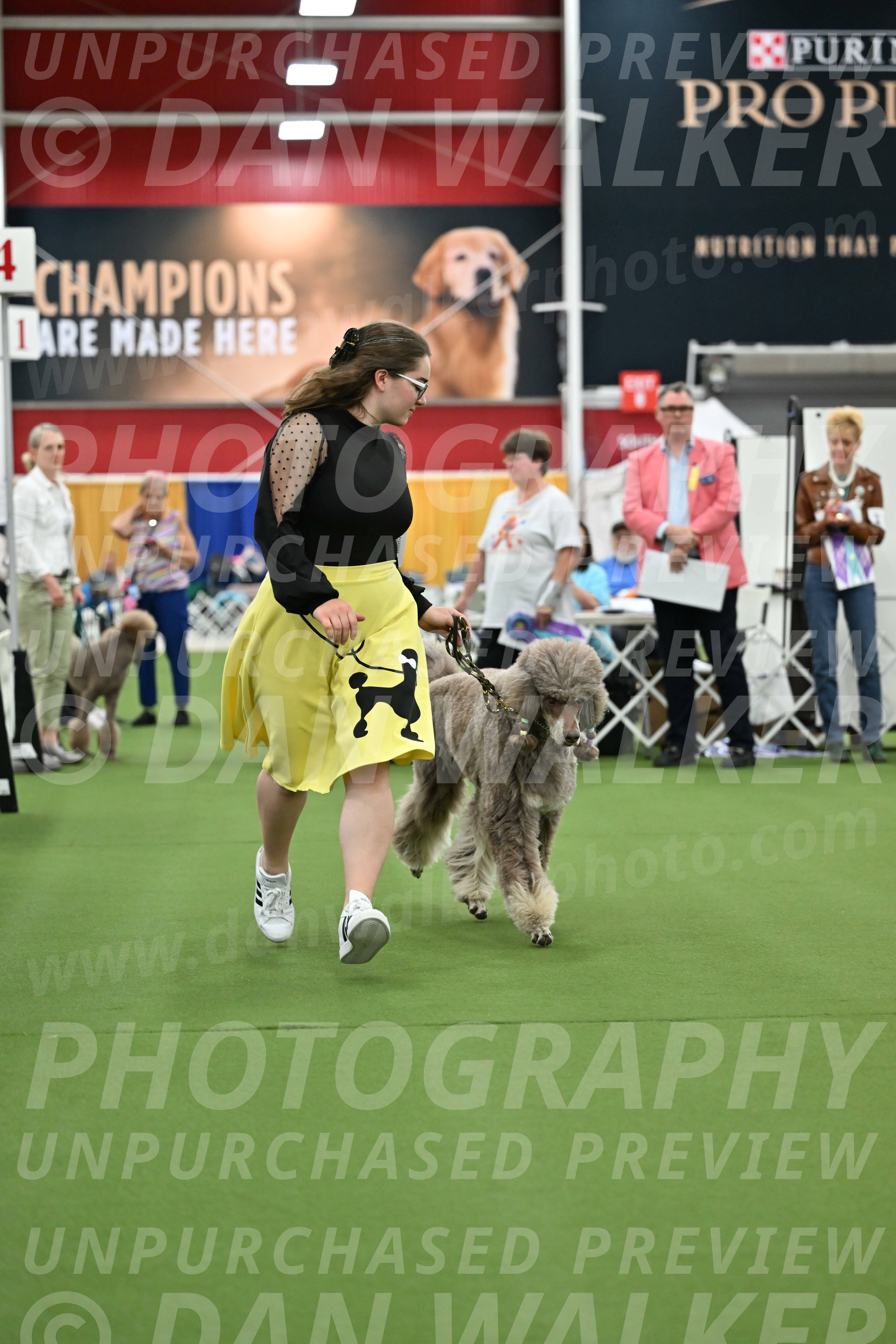 Parade-of-Titles_2733