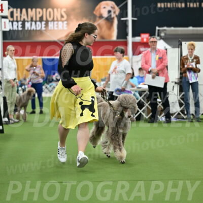 Parade-of-Titles_2733