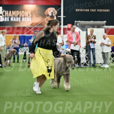 Parade-of-Titles_2734