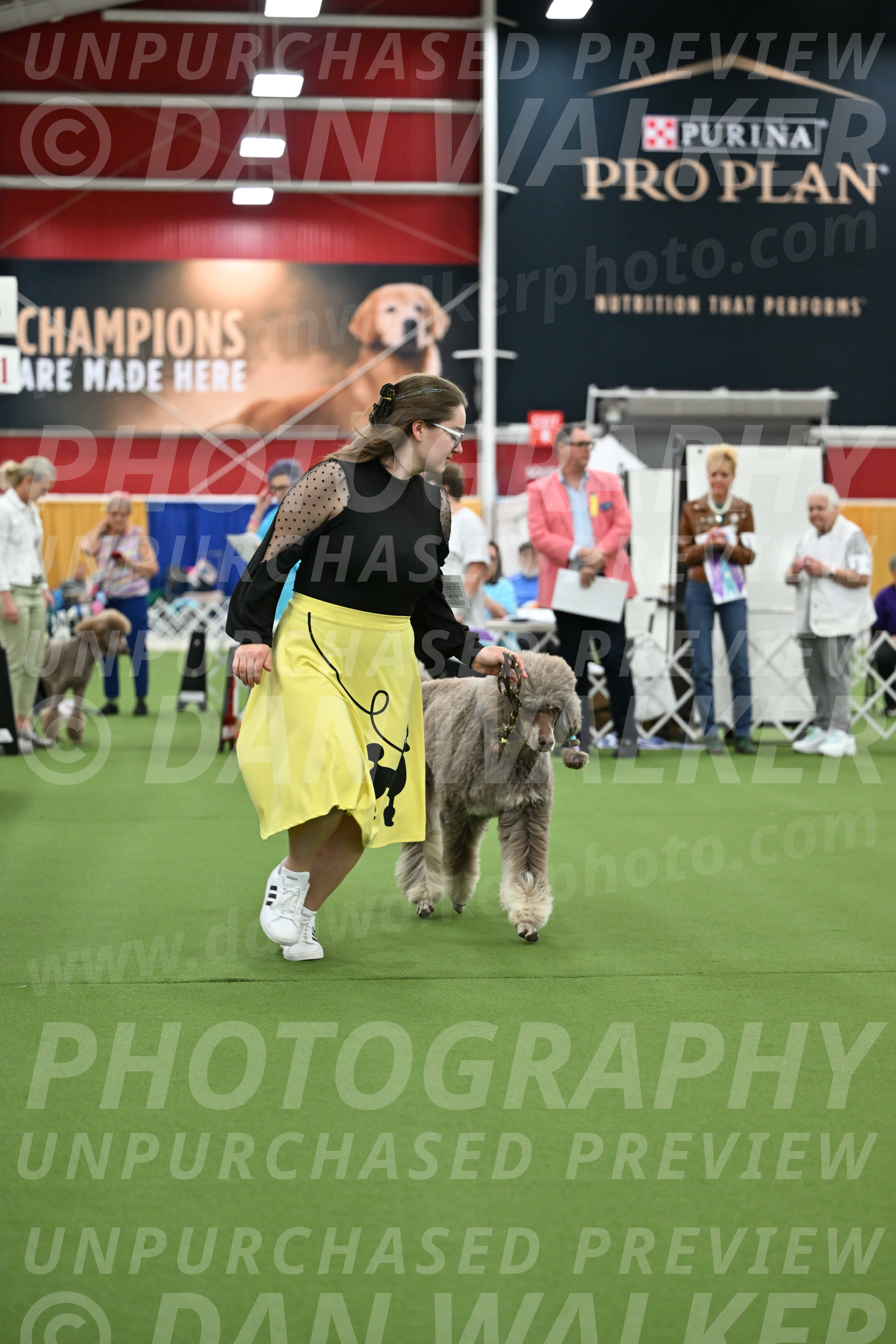 Parade-of-Titles_2734
