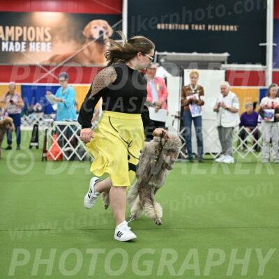 Parade-of-Titles_2735