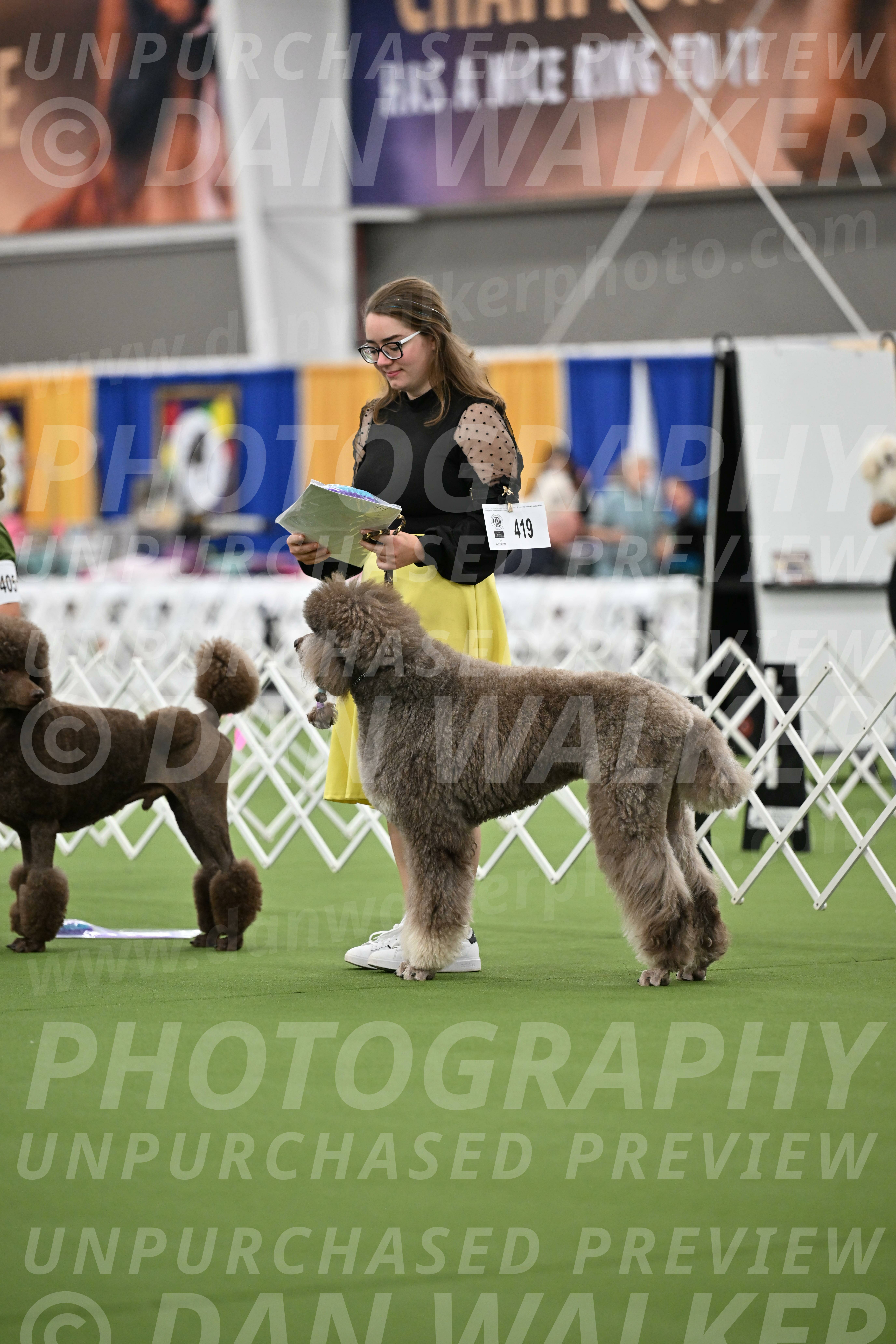 Parade-of-Titles_2736