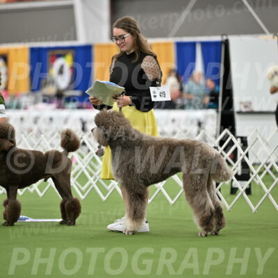 Parade-of-Titles_2736