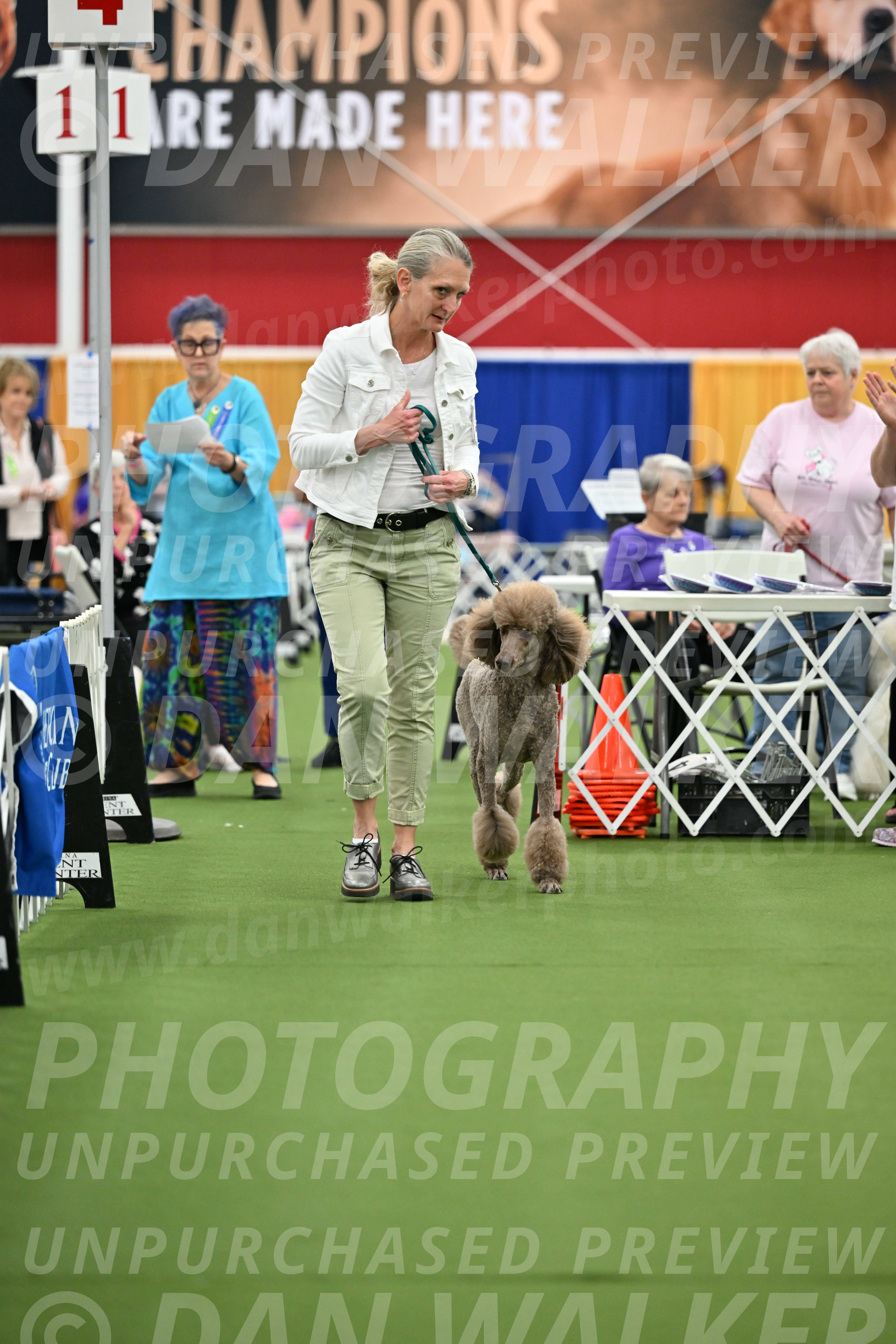 Parade-of-Titles_2737