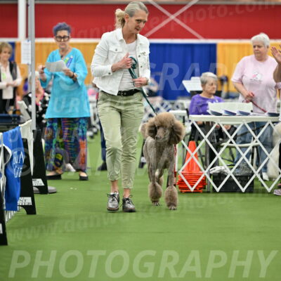 Parade-of-Titles_2737