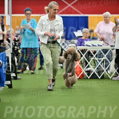 Parade-of-Titles_2738