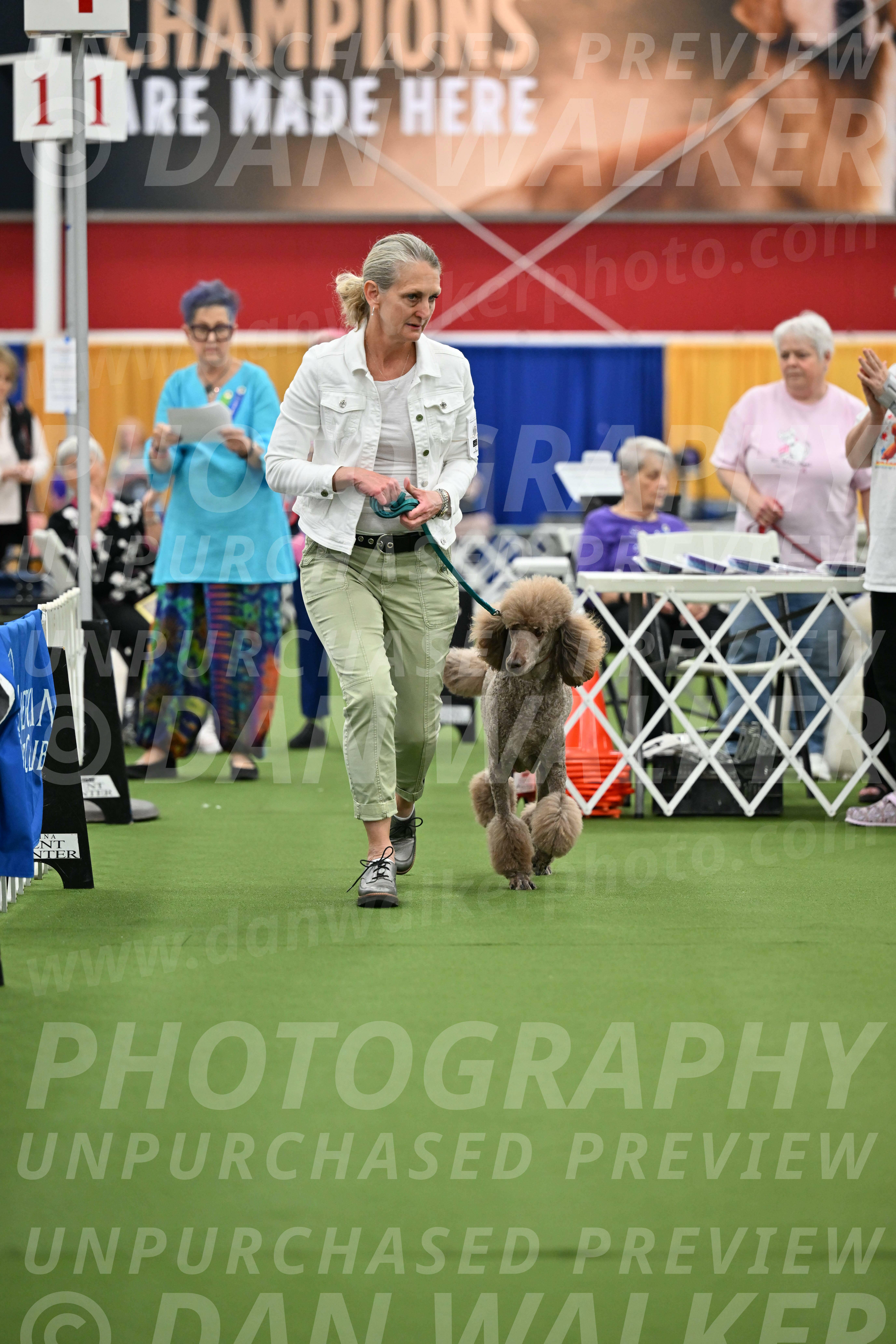 Parade-of-Titles_2738