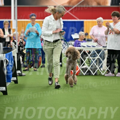 Parade-of-Titles_2739