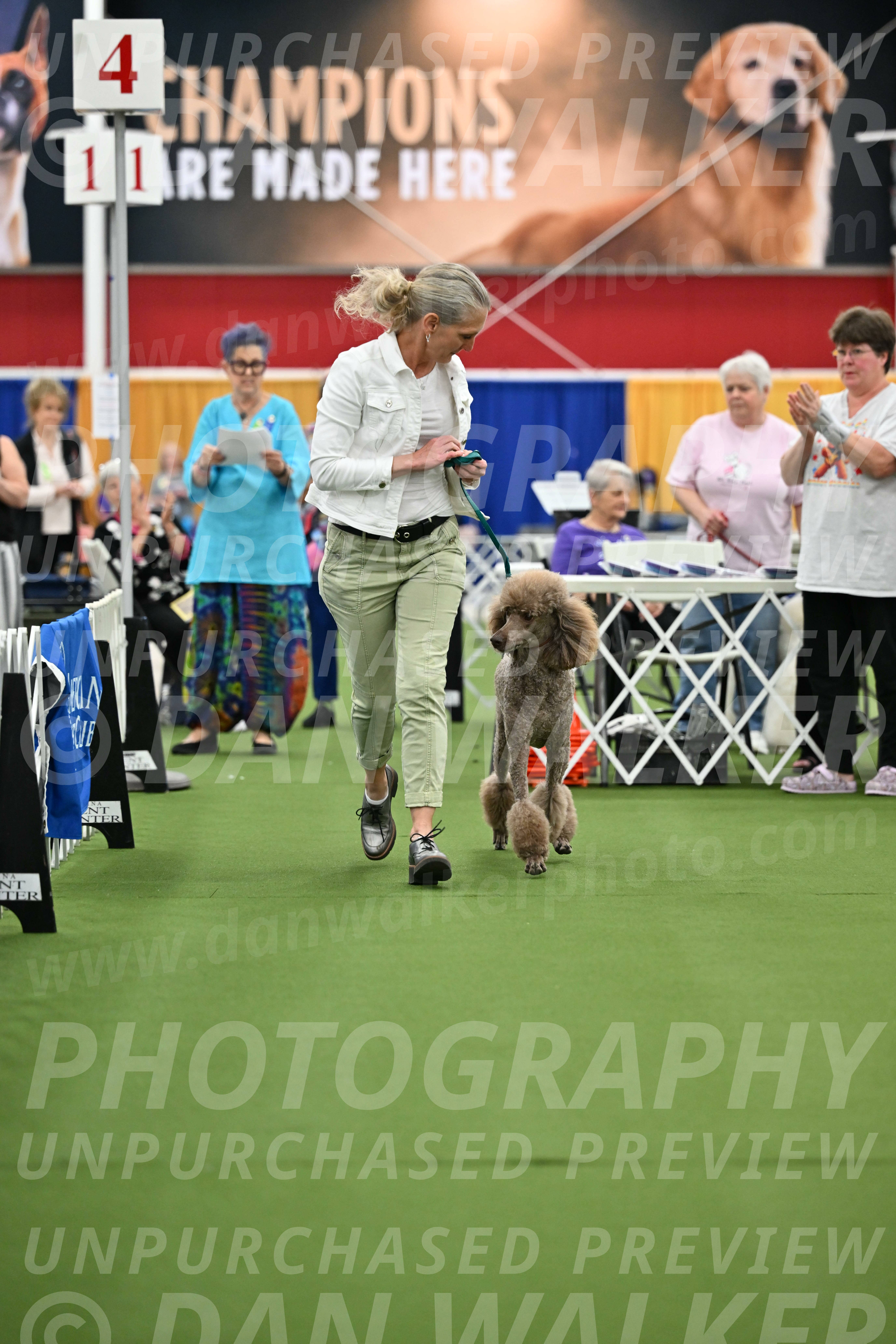 Parade-of-Titles_2739