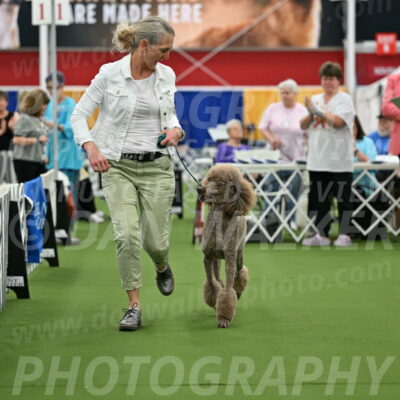 Parade-of-Titles_2742