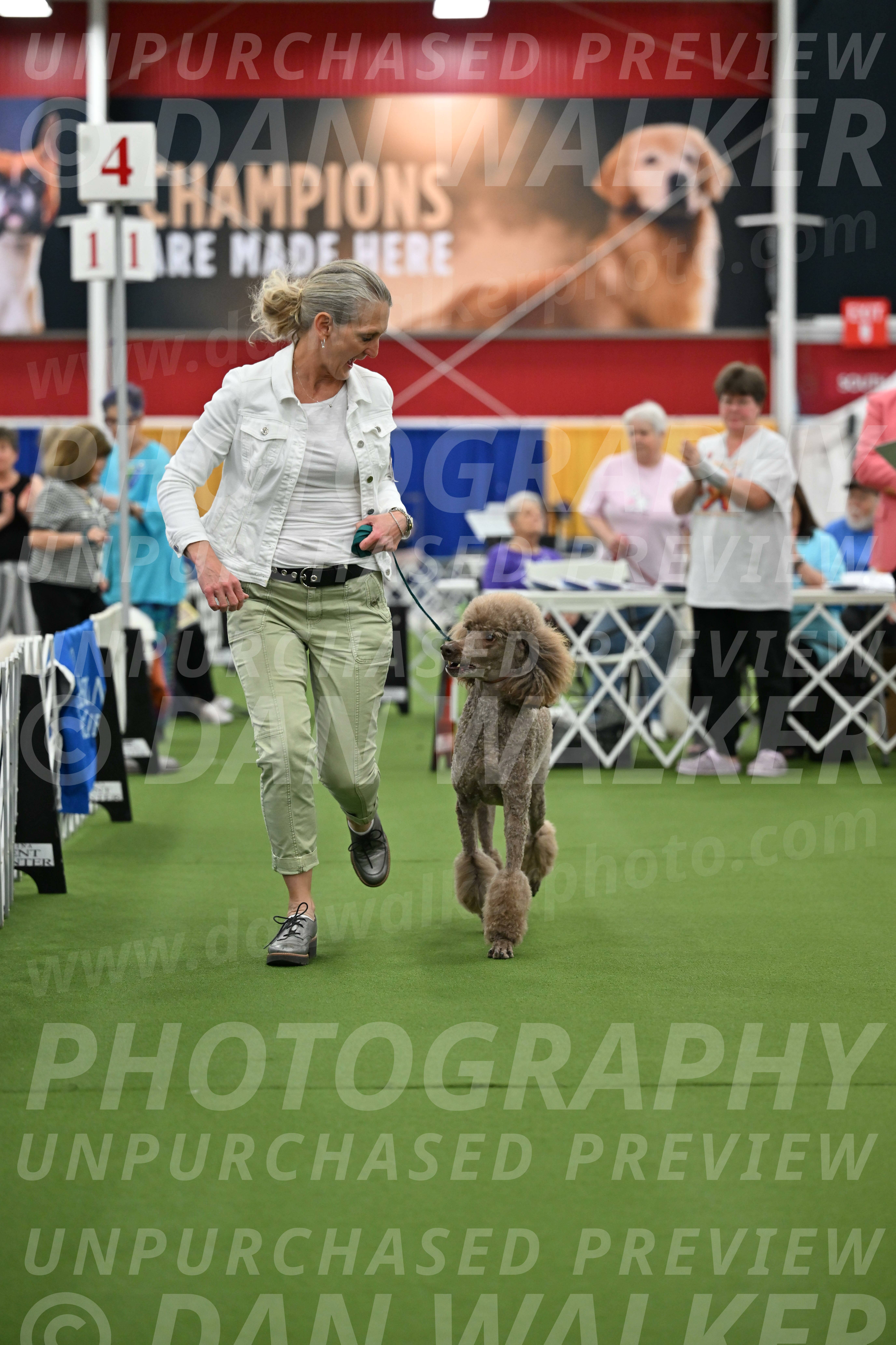 Parade-of-Titles_2742