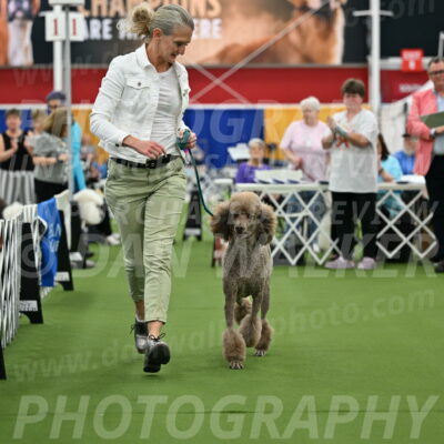 Parade-of-Titles_2743