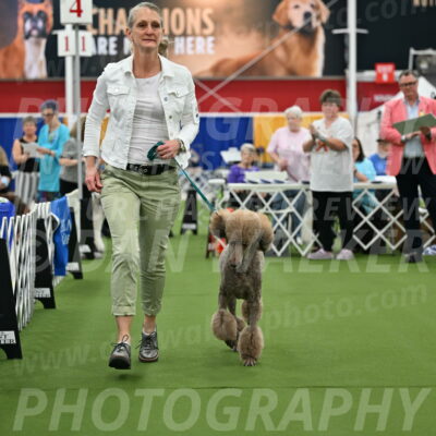 Parade-of-Titles_2744