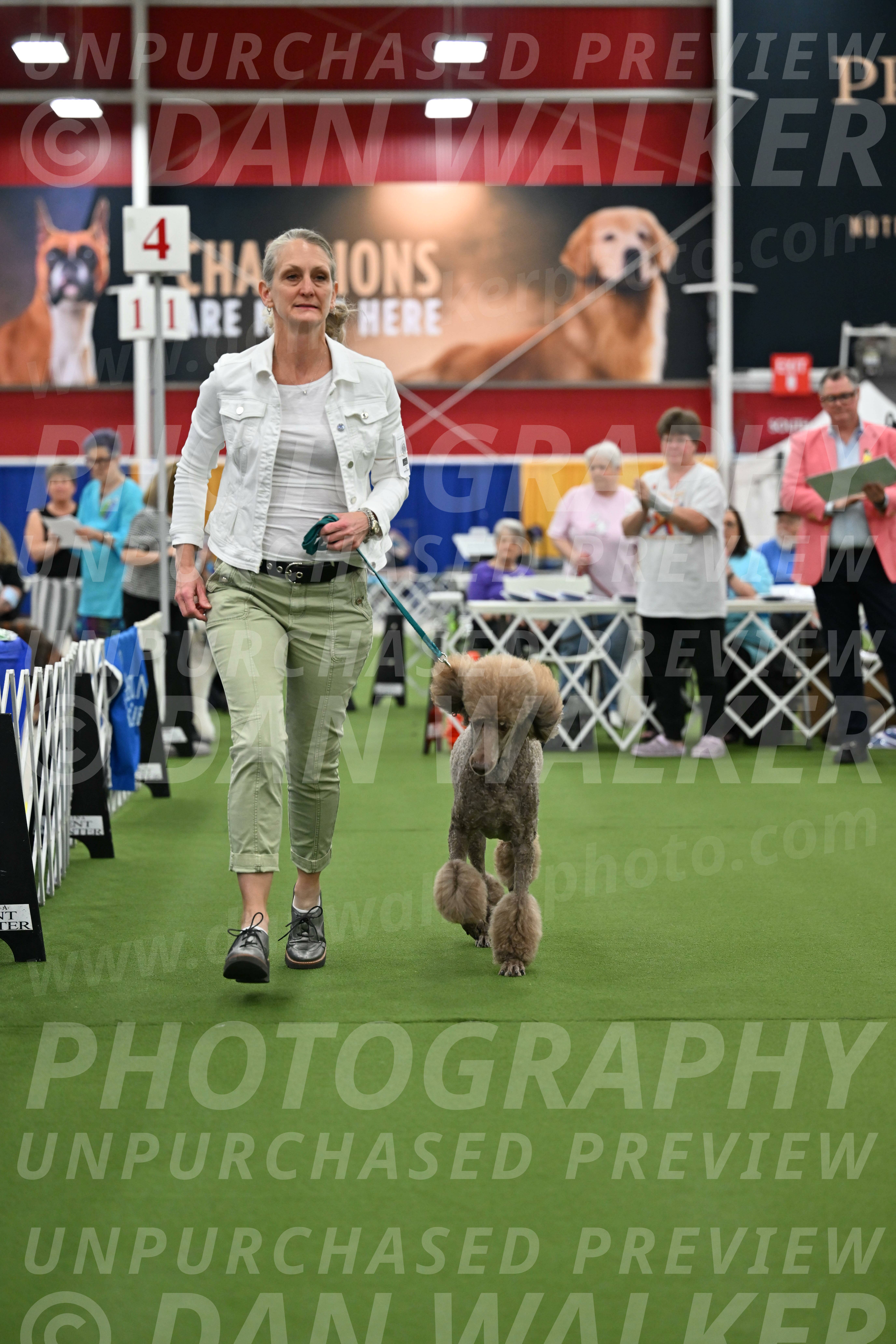 Parade-of-Titles_2744