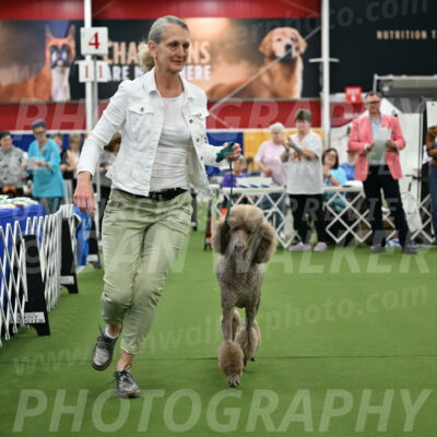 Parade-of-Titles_2746