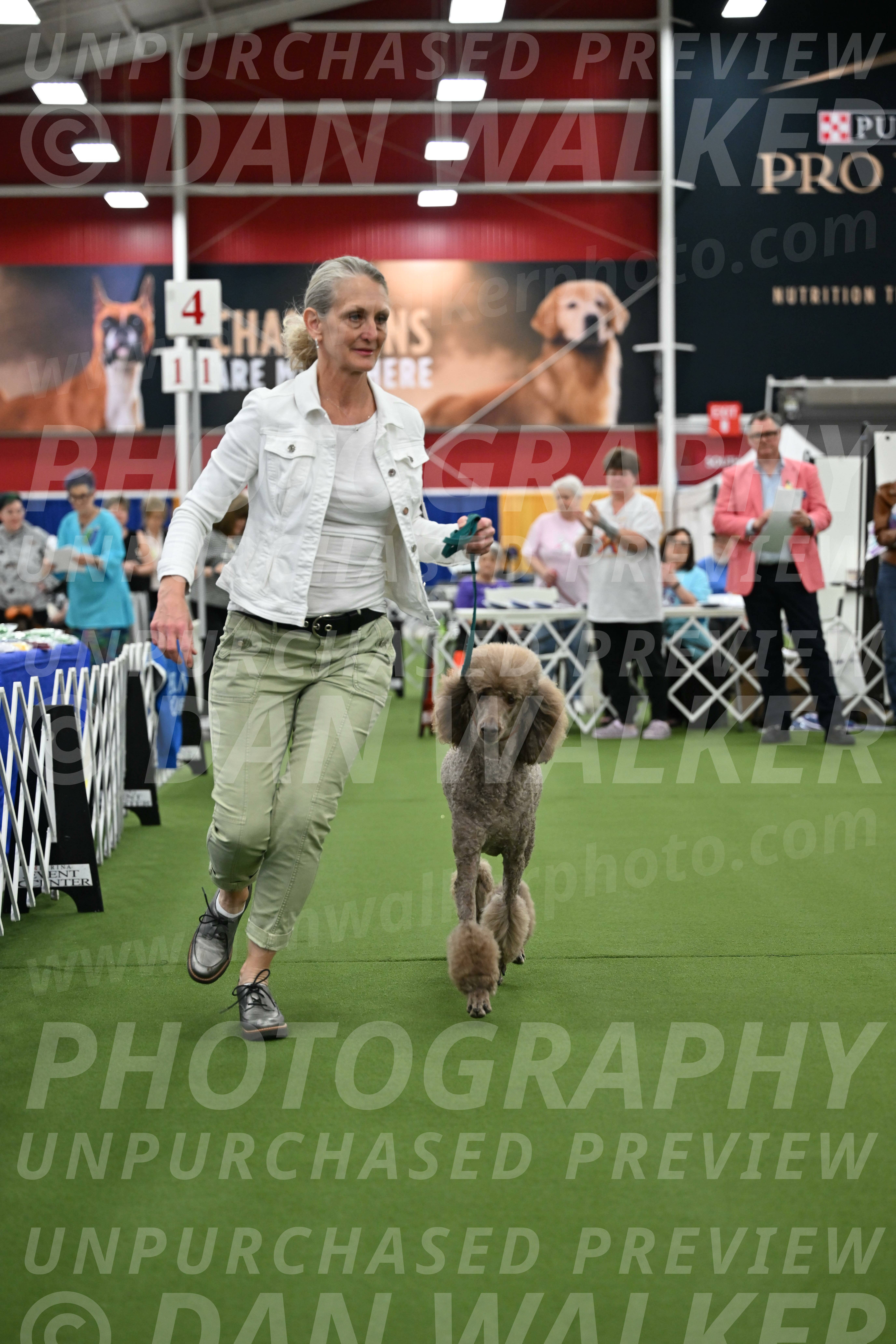 Parade-of-Titles_2746