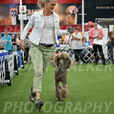 Parade-of-Titles_2747