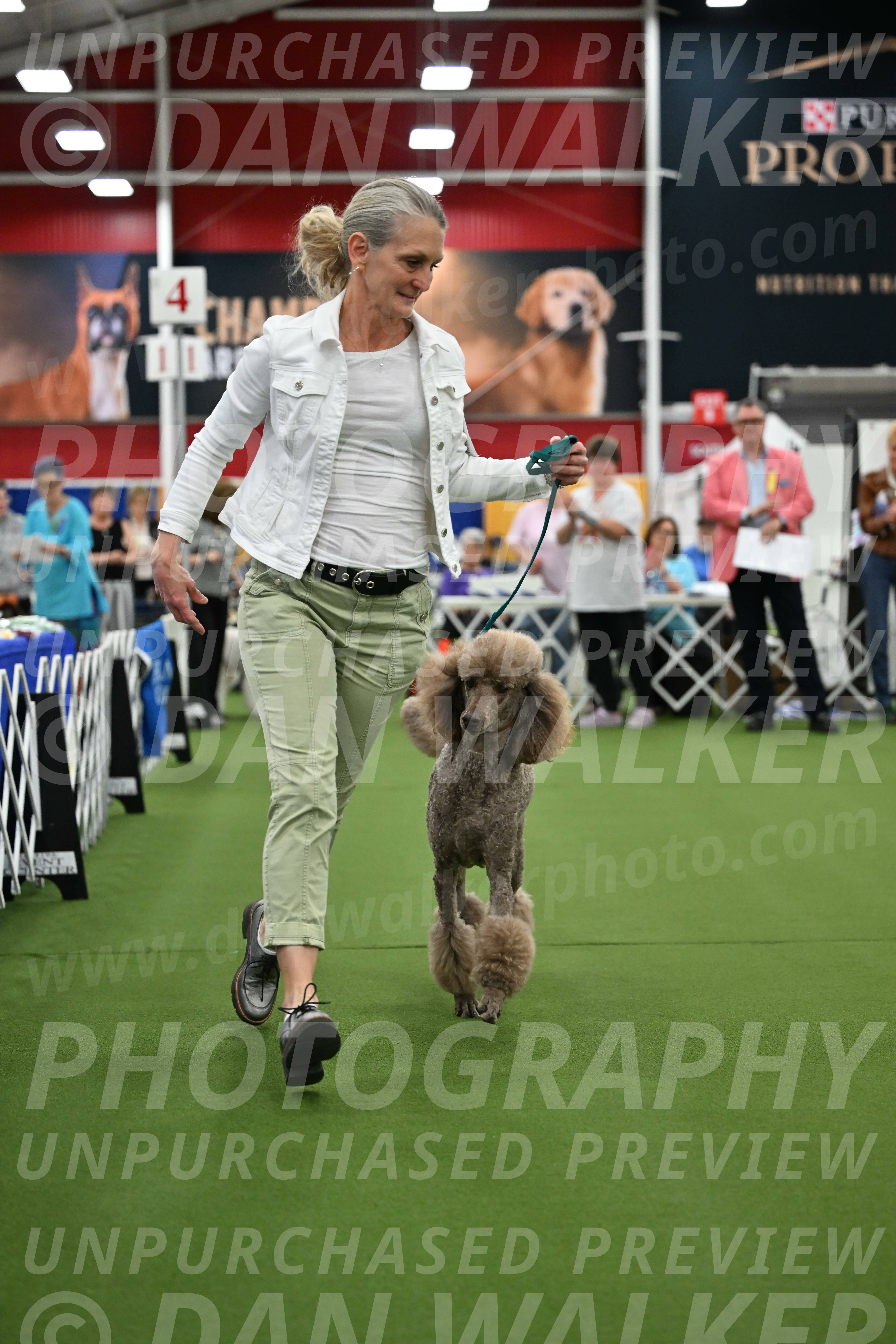 Parade-of-Titles_2747