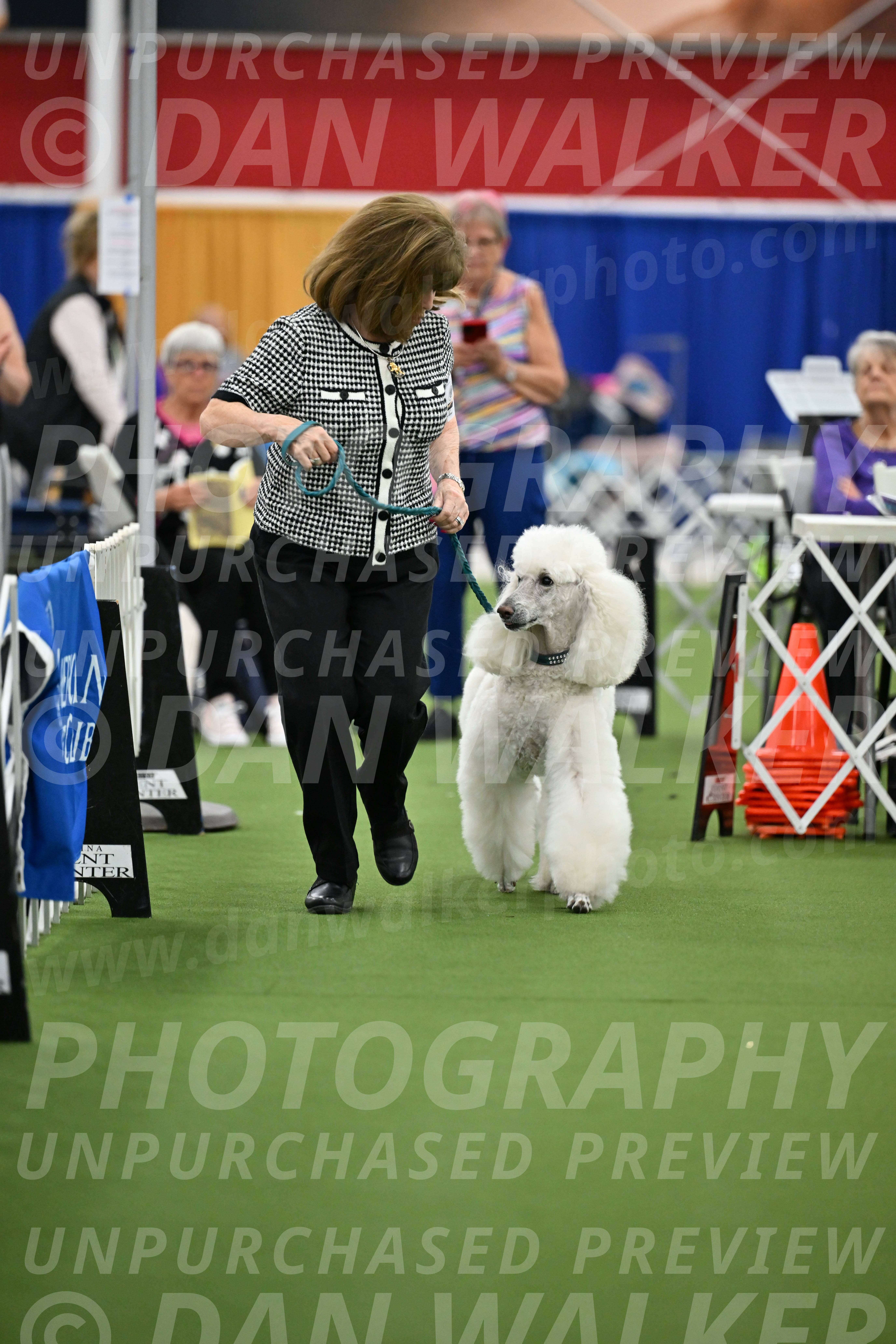 Parade-of-Titles_2748