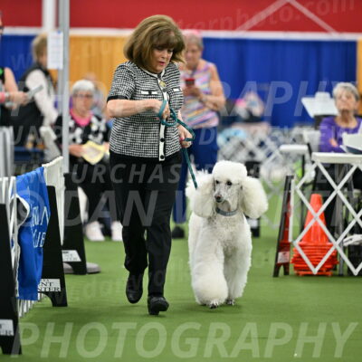 Parade-of-Titles_2749