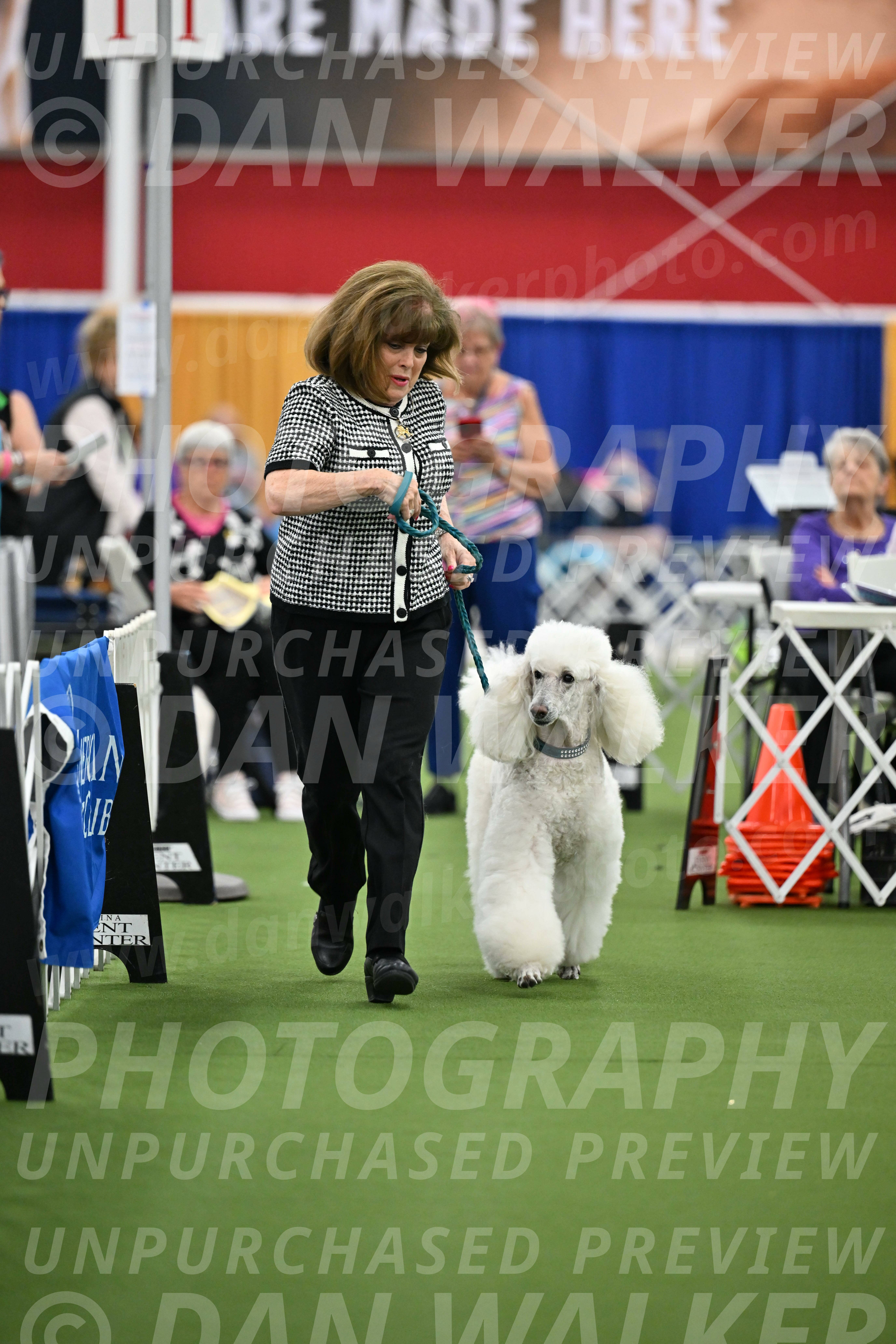 Parade-of-Titles_2749