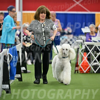 Parade-of-Titles_2750